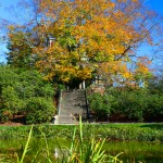 Old Westbury Gardens Stairway and Tree