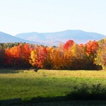 NH Field in Fall Enhanced