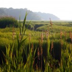 Pamet River, Truro