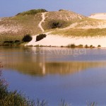 Provincetown Dunes