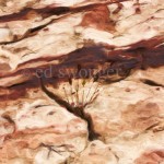 Red Rock Striations and Plant Enhanced