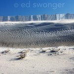 Robert Moses Dune #1