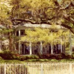 White House and Trees in Spring, Savannah Enhanced