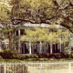 White House and Trees, Savannah