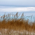 Sea Grass, Dune and Clouds