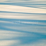 Shadows on Snow