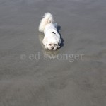 Sonnie Lying on Beach Sand