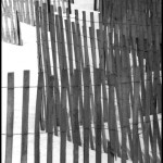 Dune Fences - Black & White