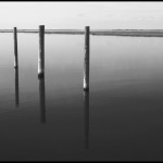 Gilgo Dock Posts - Black & White