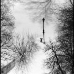 Lamppost in Snow - Black & White