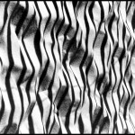 Zebra Sand Pattern - Black & White